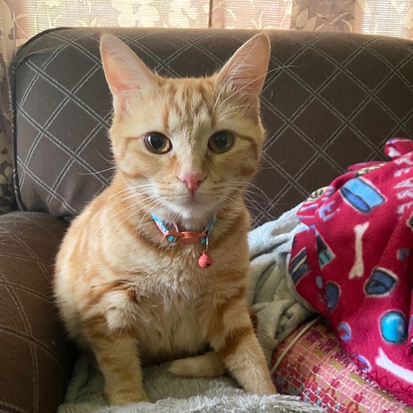 Meet your Posher, Maranda - Picture 3 of 5